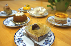 ウェルリフォーム　横浜市都筑区・青葉区・港北区 (1)